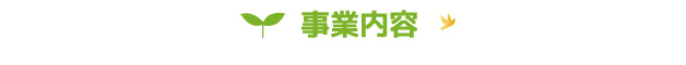 事業内容