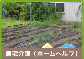 居宅介護(ホームヘルプ)